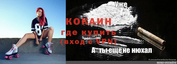 прущие грибы Аркадак