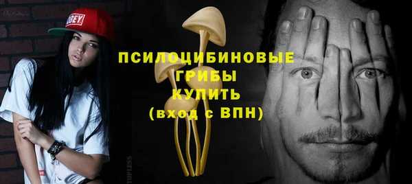 ПСИЛОЦИБИНОВЫЕ ГРИБЫ Арсеньев