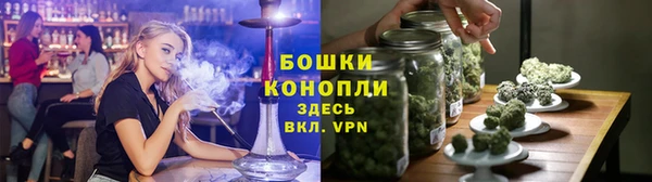 ПСИЛОЦИБИНОВЫЕ ГРИБЫ Арсеньев