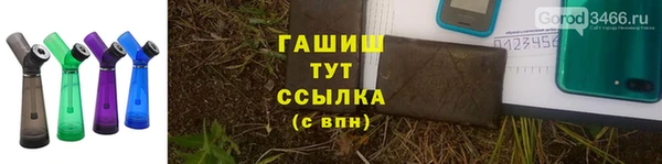 прущие грибы Аркадак