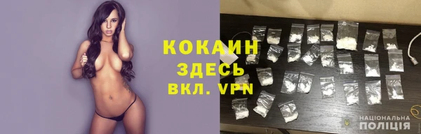 ПСИЛОЦИБИНОВЫЕ ГРИБЫ Арсеньев