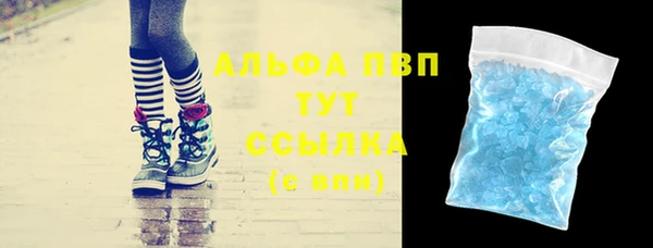 прущие грибы Аркадак