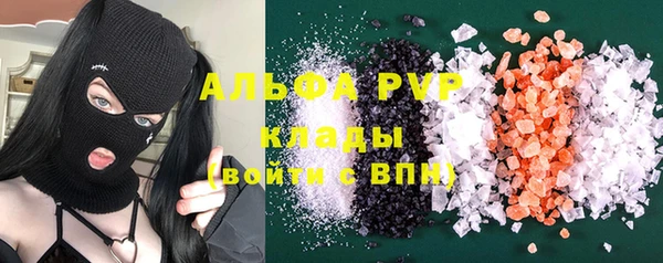 ПСИЛОЦИБИНОВЫЕ ГРИБЫ Арсеньев