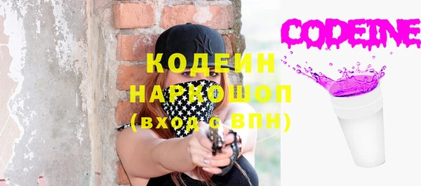 ПСИЛОЦИБИНОВЫЕ ГРИБЫ Арсеньев